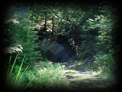 2541 Entrance